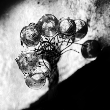 Markéta Butalová