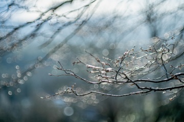 02_Marketa_Trpytivo
