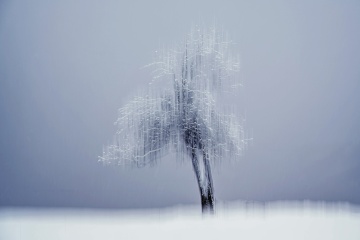 02_Mira_Neostra