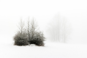 04_Libor_Minimal
