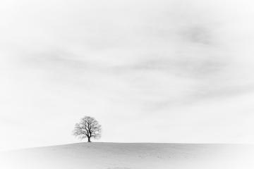 05_Blanka_Minimal