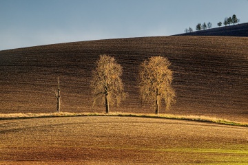 05_Marketa_TOP122025