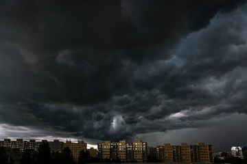 07_Blanka_Zivly