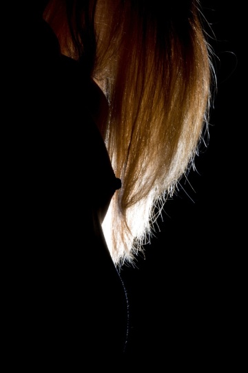 09_Honza_Minimal