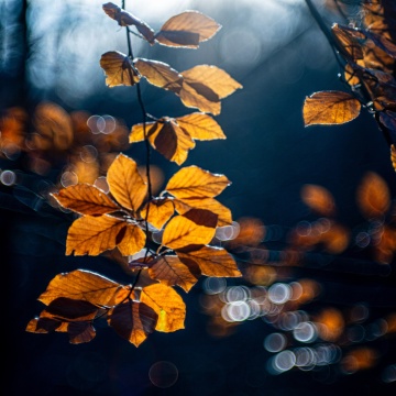 09_Marketa_Trpytivo