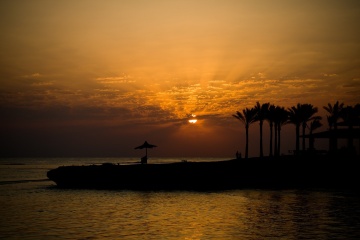11_Honza