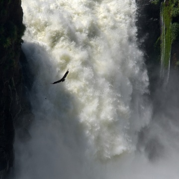 13_Lubomir_TOP022025