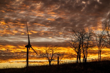 16_Marketa_TOP122025