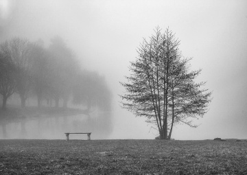 20_Zdenek_Minimal