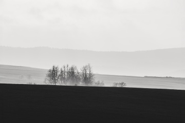 23_Libor_Minimal