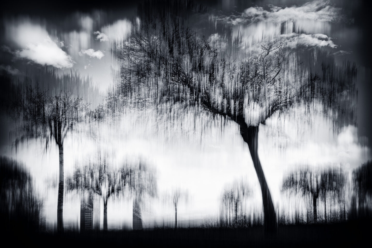 Fototéma Fotka nemusí být ostrá